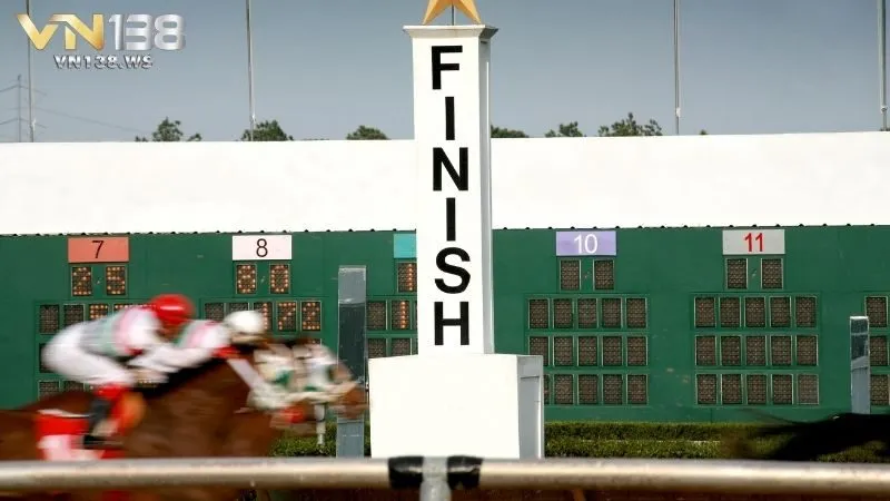 Các hình thức cá cược đua ngựa phổ biến tại VN138