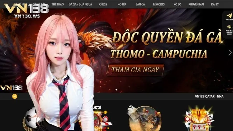 Tổng quan về VN138