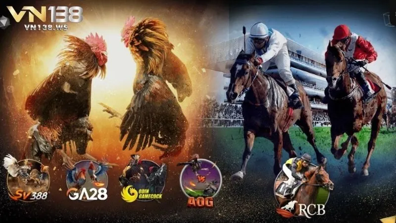 VN138 đem tới trải nghiệm cá cược đá gà và đua ngựa hấp dẫn